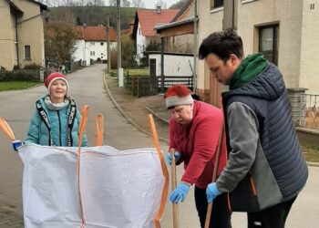 Fruehjarsputz